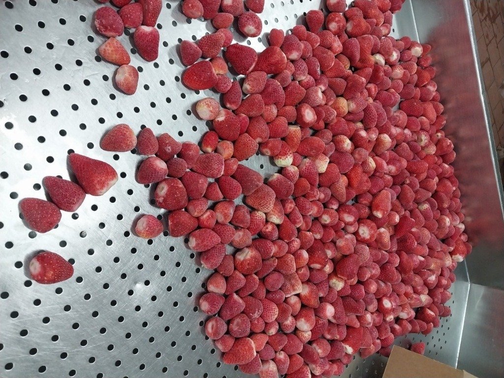 Whole IQF Strawberries in Carton